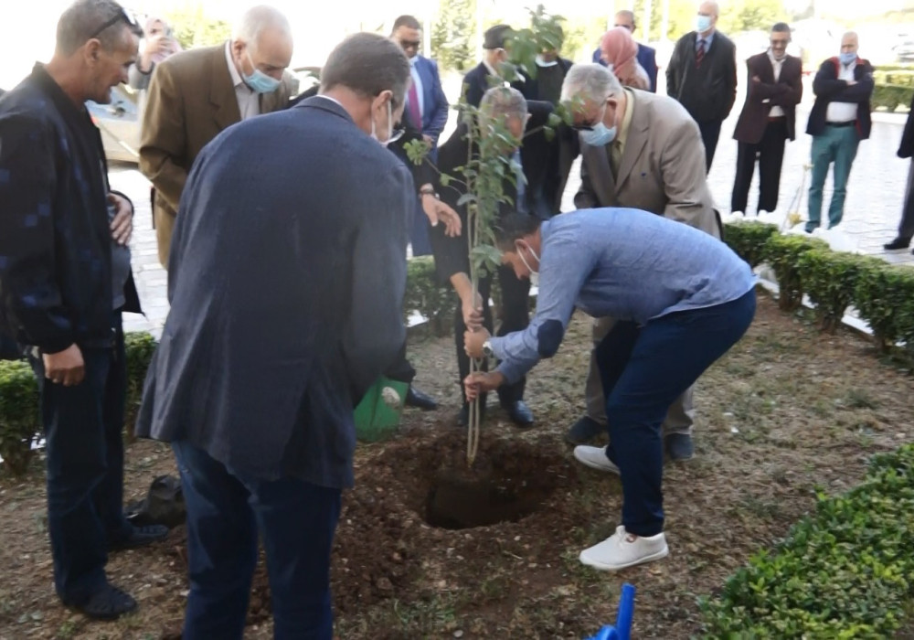 01521.MTS_snapshot_00.05.026