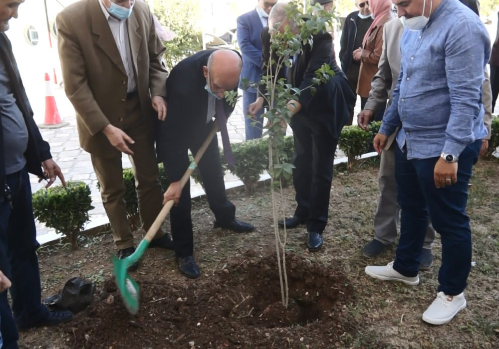 01521.MTS_snapshot_00.11.743