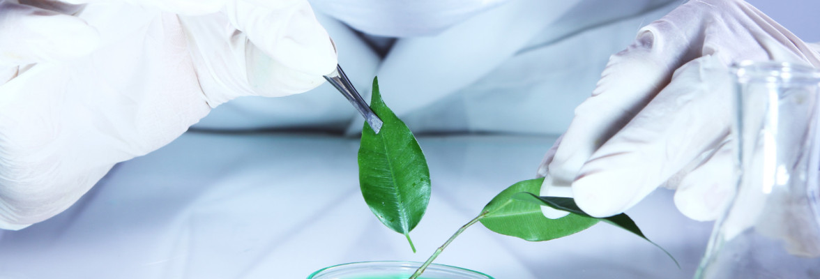 قسم العلوم الطبيعية